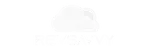 https___getrevsavvy.com
